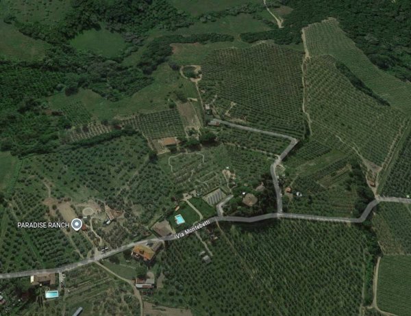 appartamento in vendita a Montespertoli