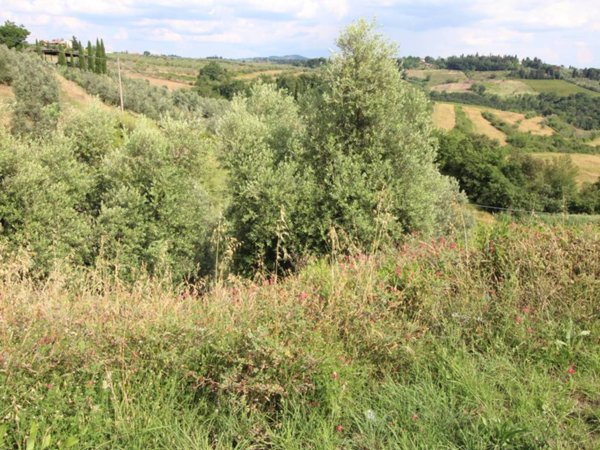immagine annuncio 0 di 1