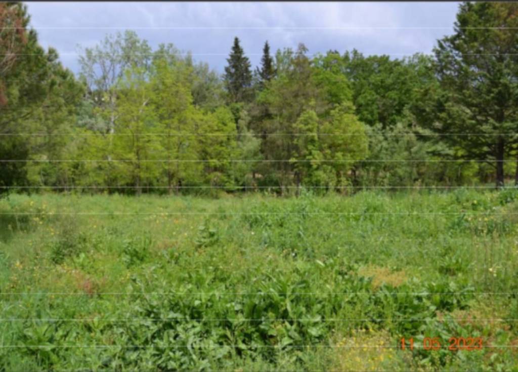 terreno agricolo in vendita a Montespertoli in zona Fornacette