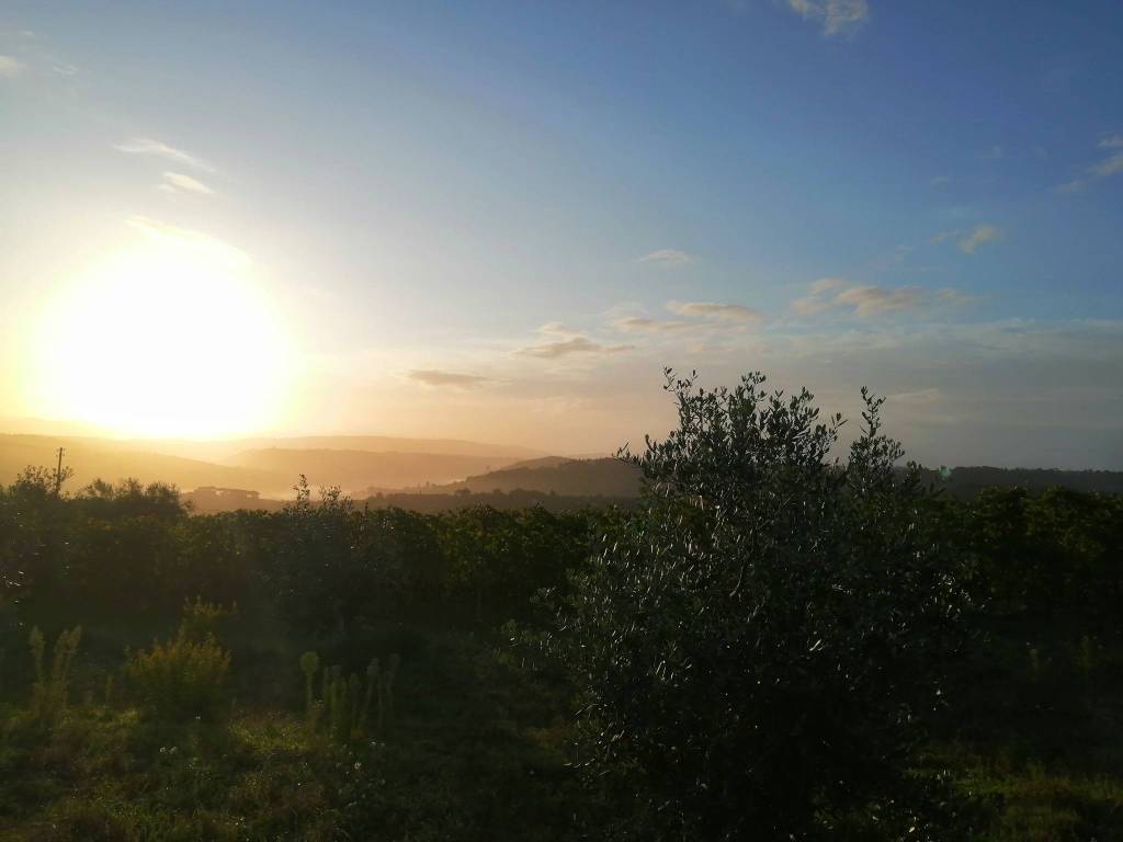 casa indipendente in vendita a Montespertoli