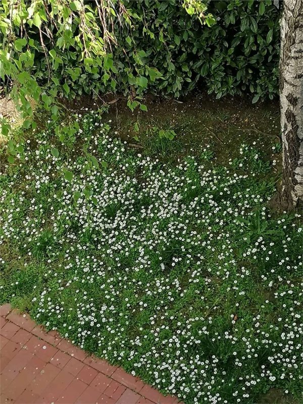 casa indipendente in vendita a Montespertoli in zona Poppiano