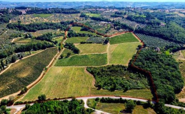 terreno agricolo in vendita a Montespertoli