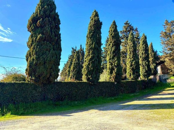 casa indipendente in vendita a Montespertoli