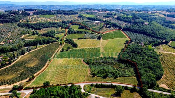 azienda agricola in vendita a Montespertoli