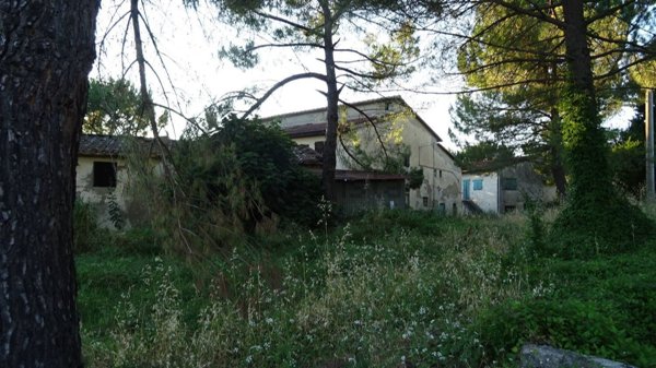 azienda agricola in vendita a Montespertoli