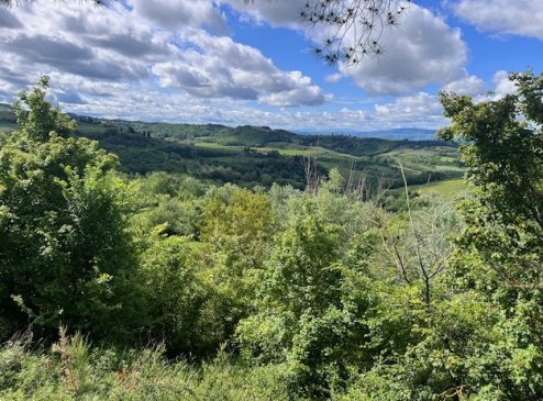terreno agricolo in vendita a Montespertoli