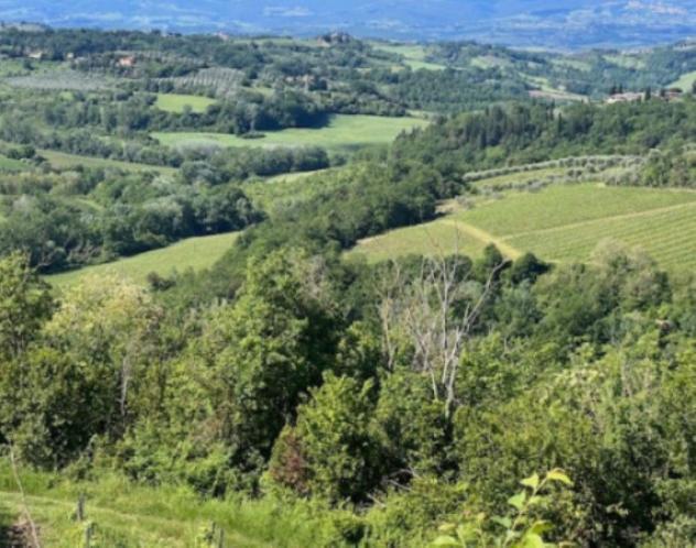 terreno agricolo in vendita a Montespertoli