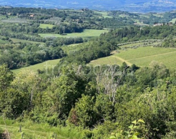 terreno agricolo in vendita a Montespertoli