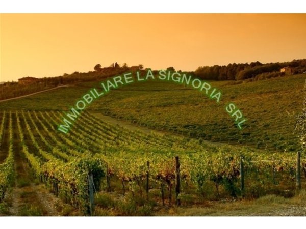 negozio in vendita a Montespertoli