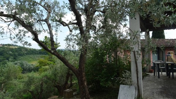 esavano in vendita a Montespertoli