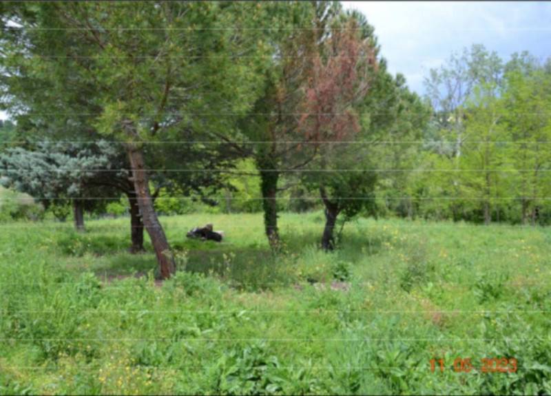 terreno edificabile in vendita a Montespertoli in zona Fornacette