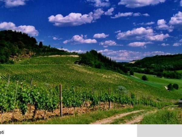casa indipendente in vendita a Montespertoli