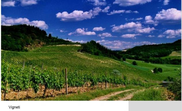 casa indipendente in vendita a Montespertoli