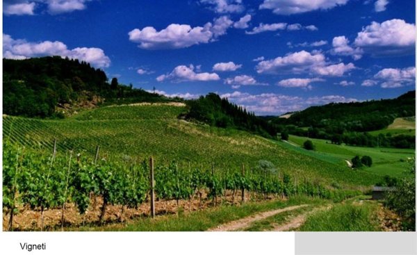 appartamento in vendita a Montespertoli