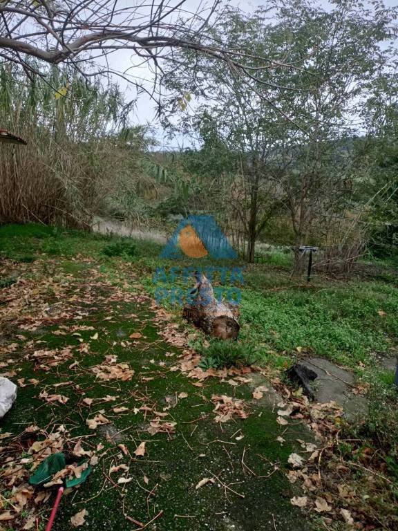 casa indipendente in vendita a Montespertoli in zona Ortimino