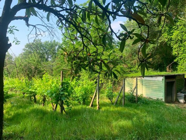 terreno agricolo in vendita a Montespertoli