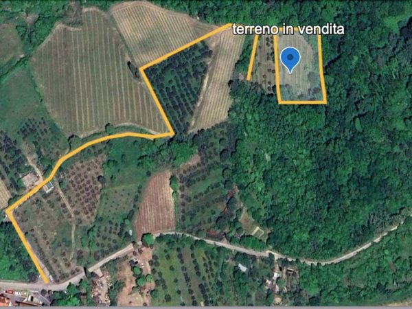 terreno agricolo in vendita a Montespertoli
