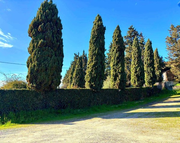casa indipendente in vendita a Montespertoli