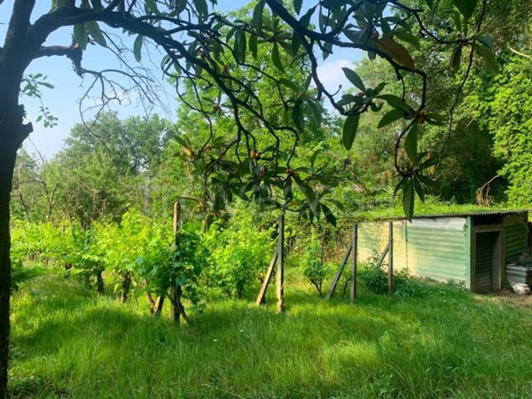 terreno agricolo in vendita a Montespertoli