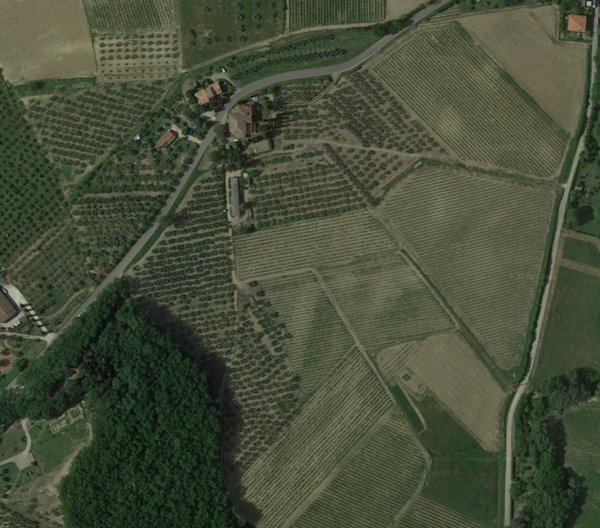 terreno agricolo in vendita a Montespertoli in zona Fornacette