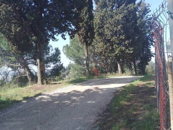 appartamento in vendita a Montespertoli