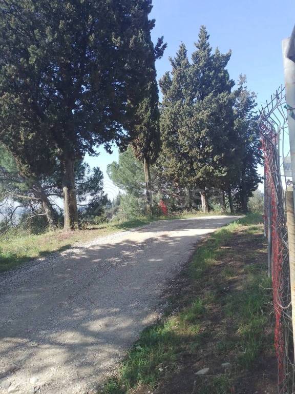 appartamento in vendita a Montespertoli