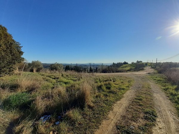 appartamento in vendita a Montespertoli