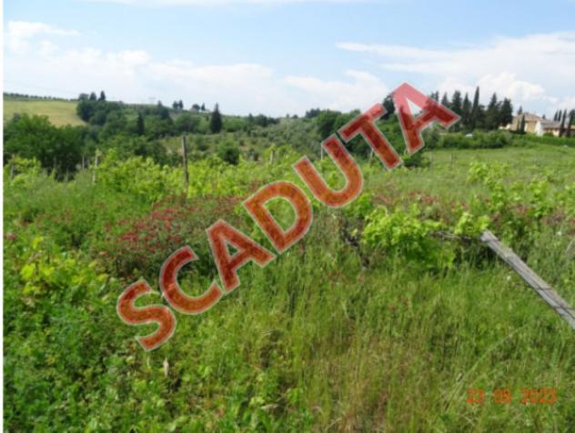 terreno agricolo in vendita a Montespertoli