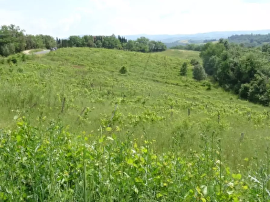 terreno agricolo in vendita a Montespertoli