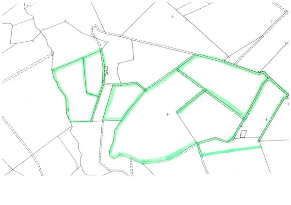 terreno agricolo in vendita a Montespertoli