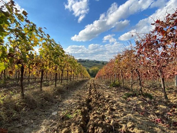 terreno agricolo in vendita a Montespertoli