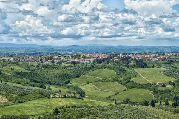 appartamento in vendita a Montespertoli