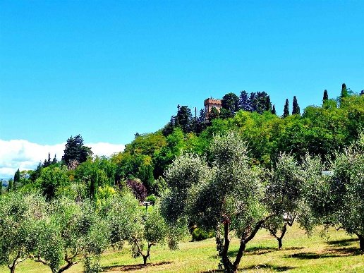 casa indipendente in vendita a Montespertoli