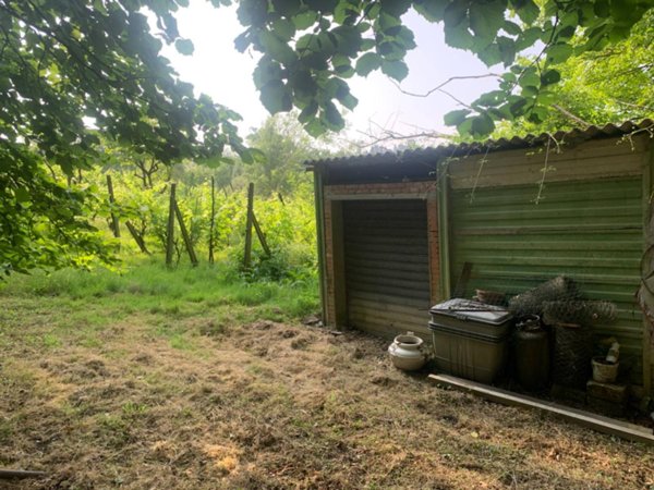 terreno agricolo in vendita a Montespertoli