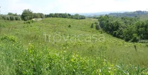 appartamento in vendita a Montespertoli