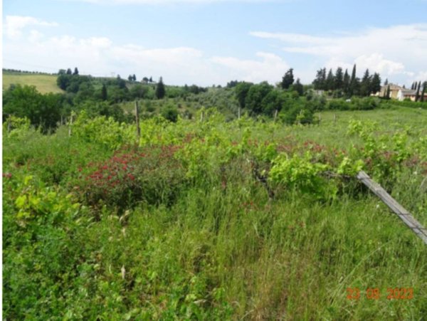 terreno agricolo in vendita a Montespertoli