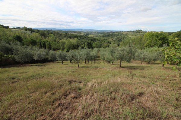 terreno agricolo in vendita a Montespertoli