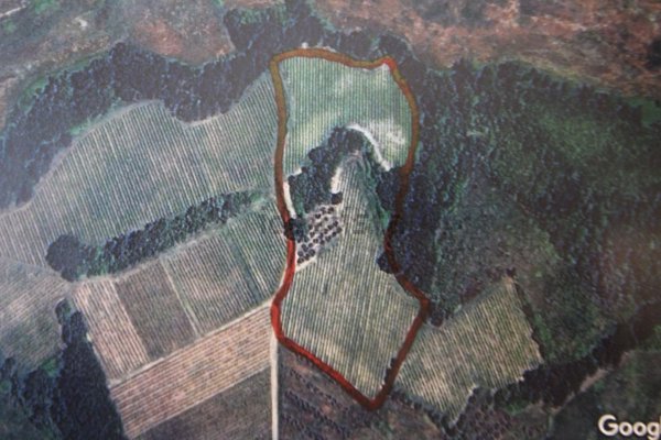 terreno agricolo in vendita a Montespertoli in zona Ortimino