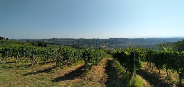 terreno edificabile in vendita a Montespertoli in zona Lucardo