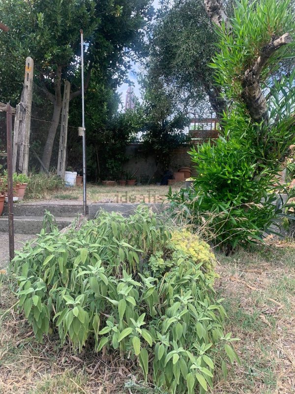 casa indipendente in vendita a Montespertoli