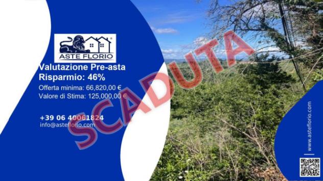 terreno agricolo in vendita a Montespertoli