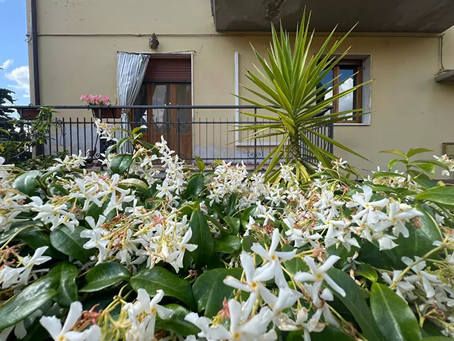 appartamento in vendita a Montespertoli in zona Montegufoni