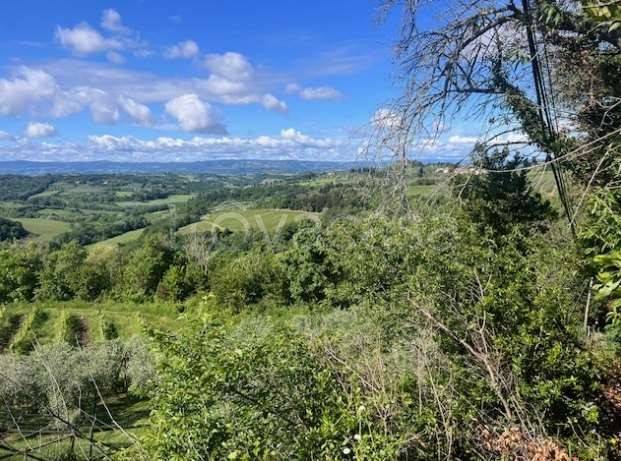 appartamento in vendita a Montespertoli