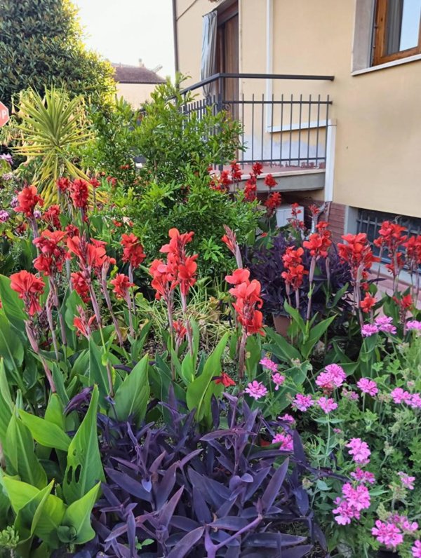 appartamento in vendita a Montespertoli