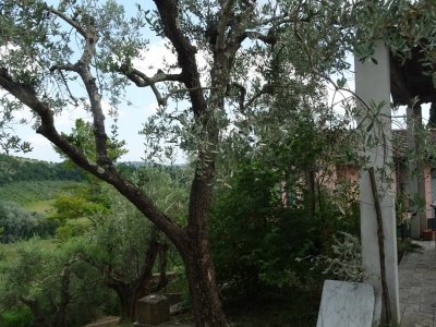 casa indipendente in vendita a Montespertoli