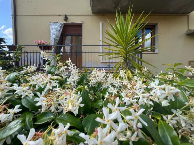 appartamento in vendita a Montespertoli