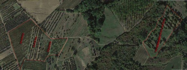 terreno agricolo in vendita a Montespertoli in zona Lucardo