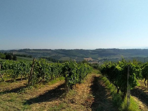 terreno agricolo in vendita a Montespertoli in zona Lucardo