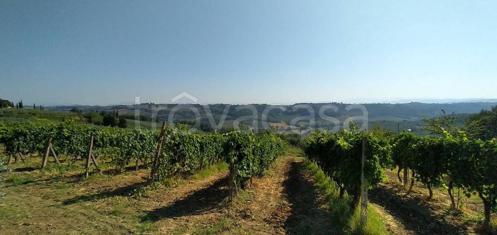 terreno agricolo in vendita a Montespertoli in zona Lucardo