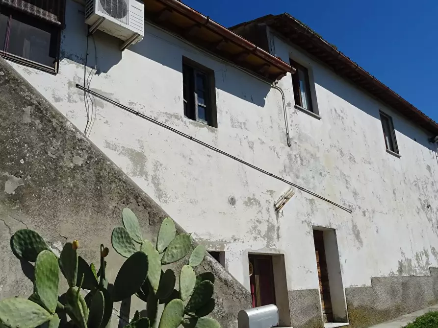 azienda agricola in vendita a Montespertoli in zona Le Galvane